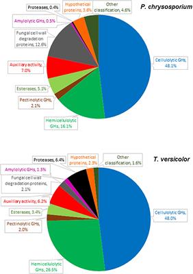 The Secretome of Phanerochaete chrysosporium and Trametes versicolor Grown in Microcrystalline Cellulose and Use of the Enzymes for Hydrolysis of Lignocellulosic Materials